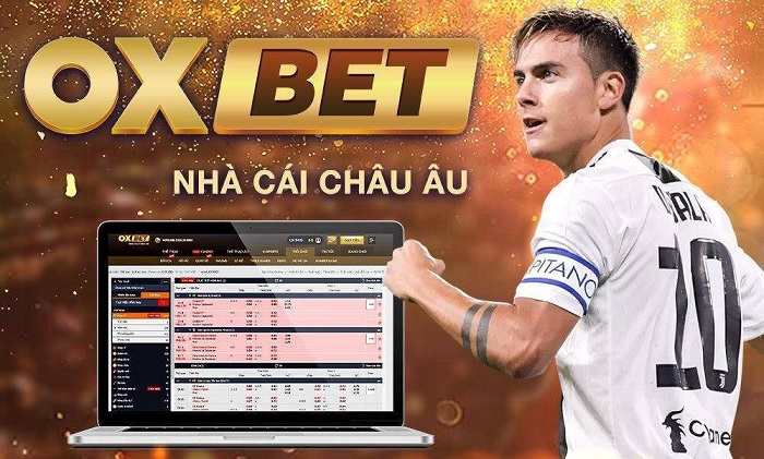 Oxbet Onl - Cổng thông tin liên hệ nhà cái Oxbet chính thức